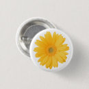 Buscar margarita del gerbera chapas Brillante