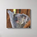 Buscar koalas lienzos Oso koala