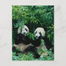 Buscar junto postales Flora