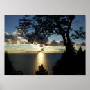 Buscar proyector posters Naturaleza