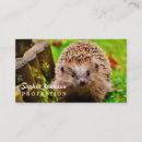 Buscar erizo tarjetas de visita Naturaleza
