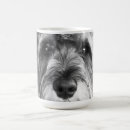 Buscar schnauzer miniatura tazas Perrito