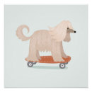 Buscar perro afgano posters Perros
