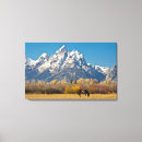 Buscar cabeza de caballo lienzos Danita delimont