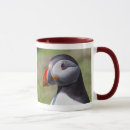 Buscar frailecillos tazas Atlántico