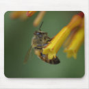 Buscar ahorre electronica Naturaleza