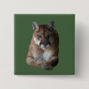 Buscar leones chapas Grandes gatos