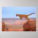 Buscar rocas rojas posters Horizontal