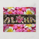 Buscar flores de hawaii postales Para todos