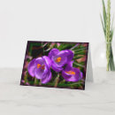 Buscar ocaso tarjetas Para ella