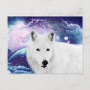 Buscar lobo blanco postales Animales