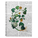 Buscar calabaza libretas Cosecha de vapor