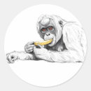 Buscar monkey Banana