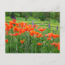 Buscar al anon postales Jaynes gallery