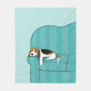Buscar beagle mantas Lindo