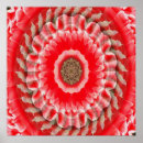 Buscar tulipán rojo y blanco posters Floral