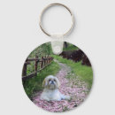 Buscar shih tzu llaveros Perrito