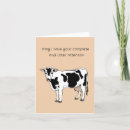 Buscar vacas divertidas tarjetas Humor de vaca