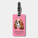 Buscar pajarito etiquetas para maletas Pajarita