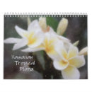 Buscar flores tropicales calendarios Hibisco
