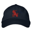 Buscar diciembre gorras Zodiaco