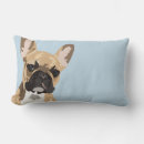 Buscar frenchie cojines Lindos