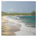 Buscar bici azulejos Naturaleza