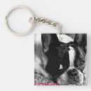 Buscar frenchie accesorios Blanco y negro