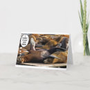 Buscar foco tarjetas General y unisex