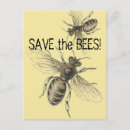 Buscar polinización Salvar a las abejas