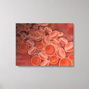 Buscar glóbulo arte Tridimensional