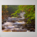 Buscar arroyos posters Creek