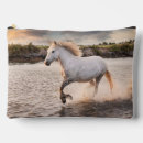 Buscar caballo accesorios Foto de caballo