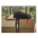 Buscar gatos de tabby calendarios General y unisex