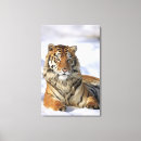 Buscar tigre siberiano lienzos Vertical