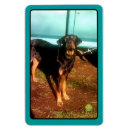 Buscar rottweiler imanes Perro