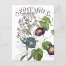 Buscar septiembre postales Para ella