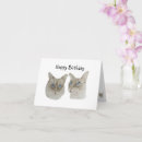 Buscar ragdoll tarjetas Felino