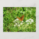 Buscar mariposas negras postales Para ella