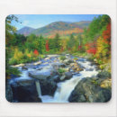 Buscar adirondack alfombrillas de raton Bosque
