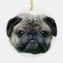 Buscar ornamnet Ornamento