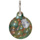 Buscar pop collares Perros