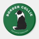 Buscar border collie imanes Perro