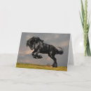 Buscar caballo negro tarjetas Para todos