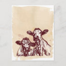 Buscar carne de vaca postales Animales