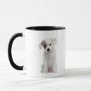 Buscar raza mezclada tazas Animales