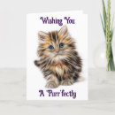 Buscar kitten tarjetas Gatito