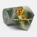 Buscar impresionante corbatas Naranja