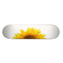 Buscar solo tablas de skate Feliz