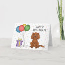 Buscar caballería tarjetas Cavalier king charles spaniel